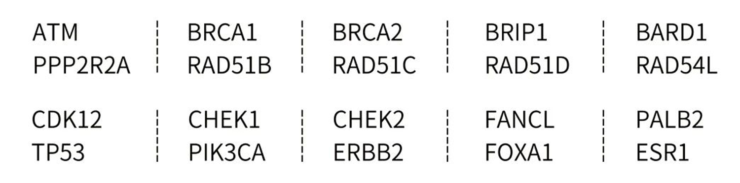 新品上线 %7C “暗探针”技术助力HRD研究,精准医疗又添一利_9118b83c